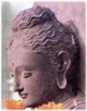 Bay Insight Meditation
