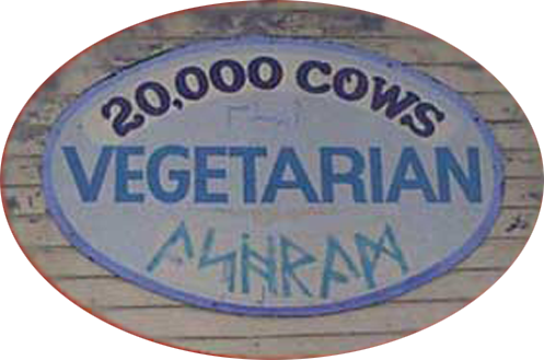 20,000 cows restaurant